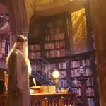 Harry Potter Experiences