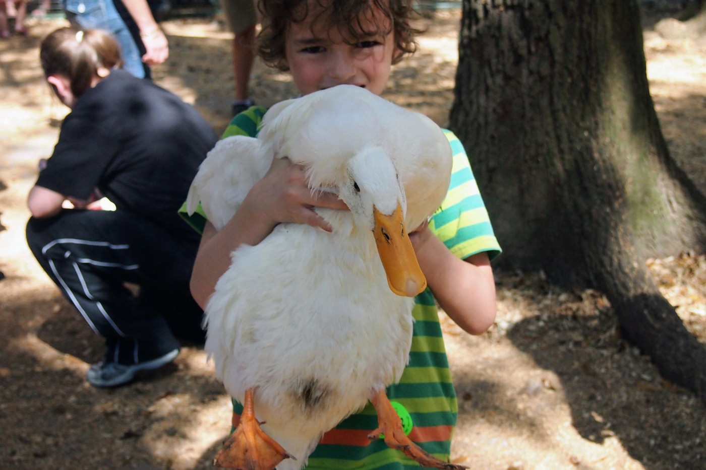 Orlando petting farm children.
