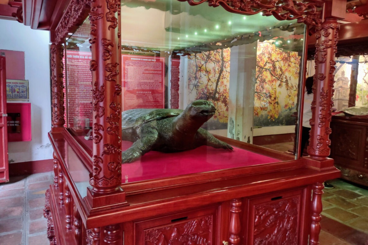 Turtles in Hanoi