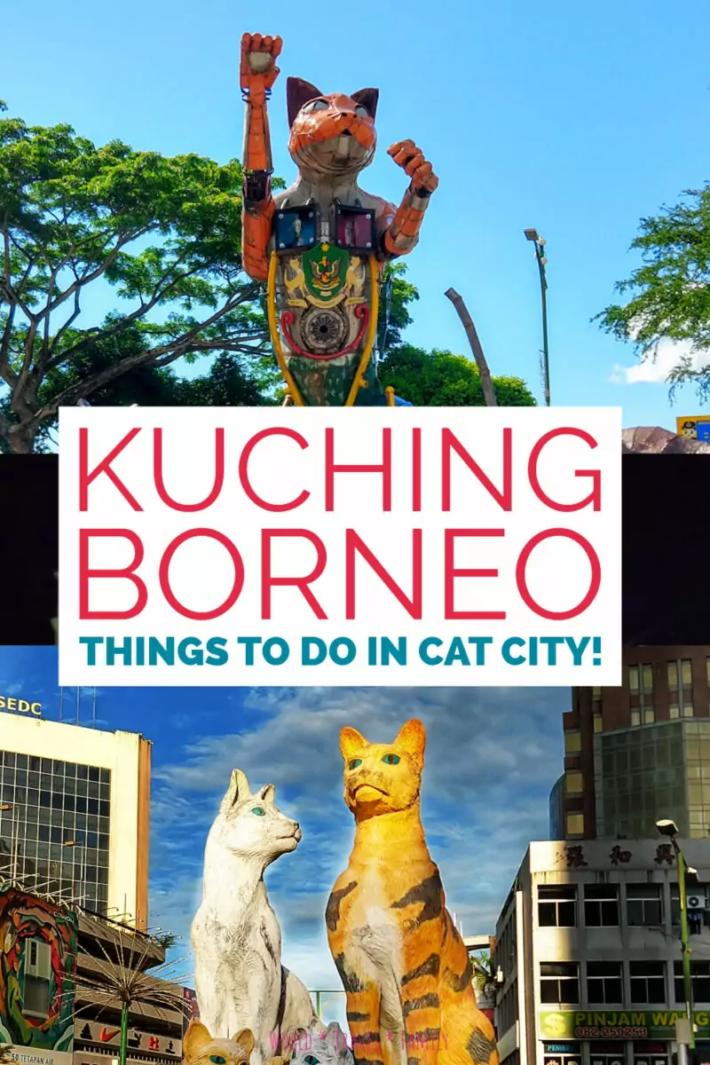 Kuching borneo cat statue photos. Text reads " Kuching Borneo, Things To Do in Cat City"
