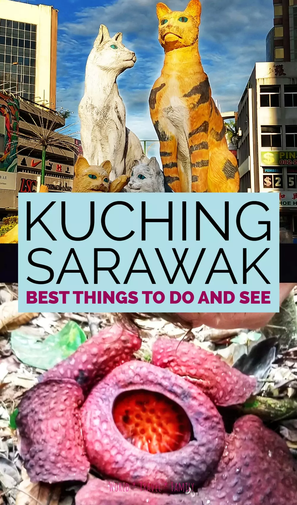 Things To Do In Kuching Sarawak
