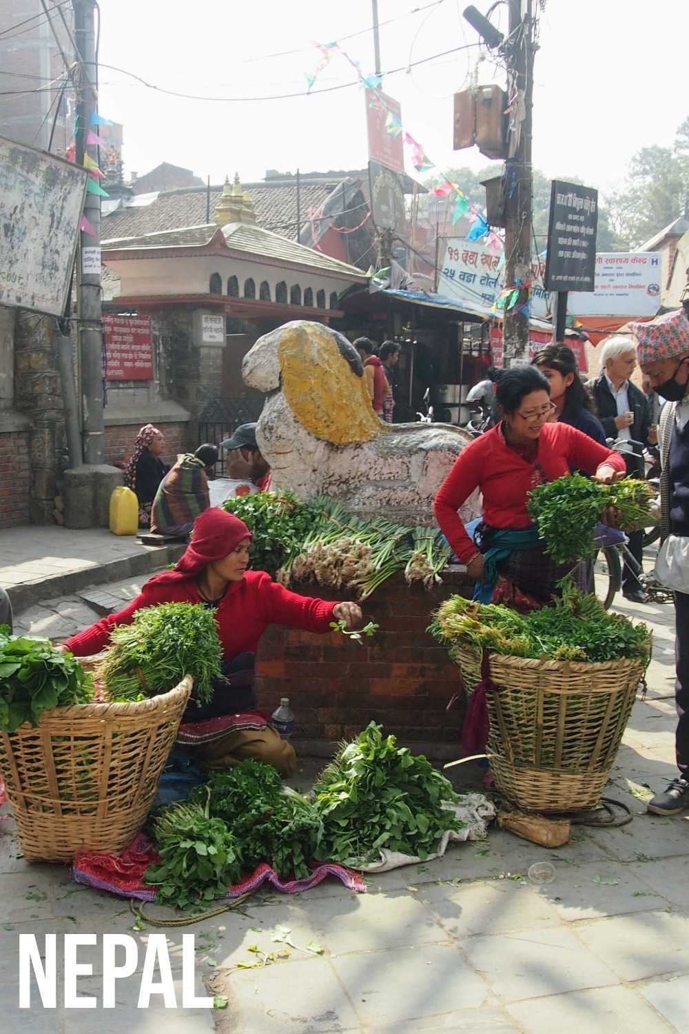 Nepal -Shopping, Markets, and Souvenirs.