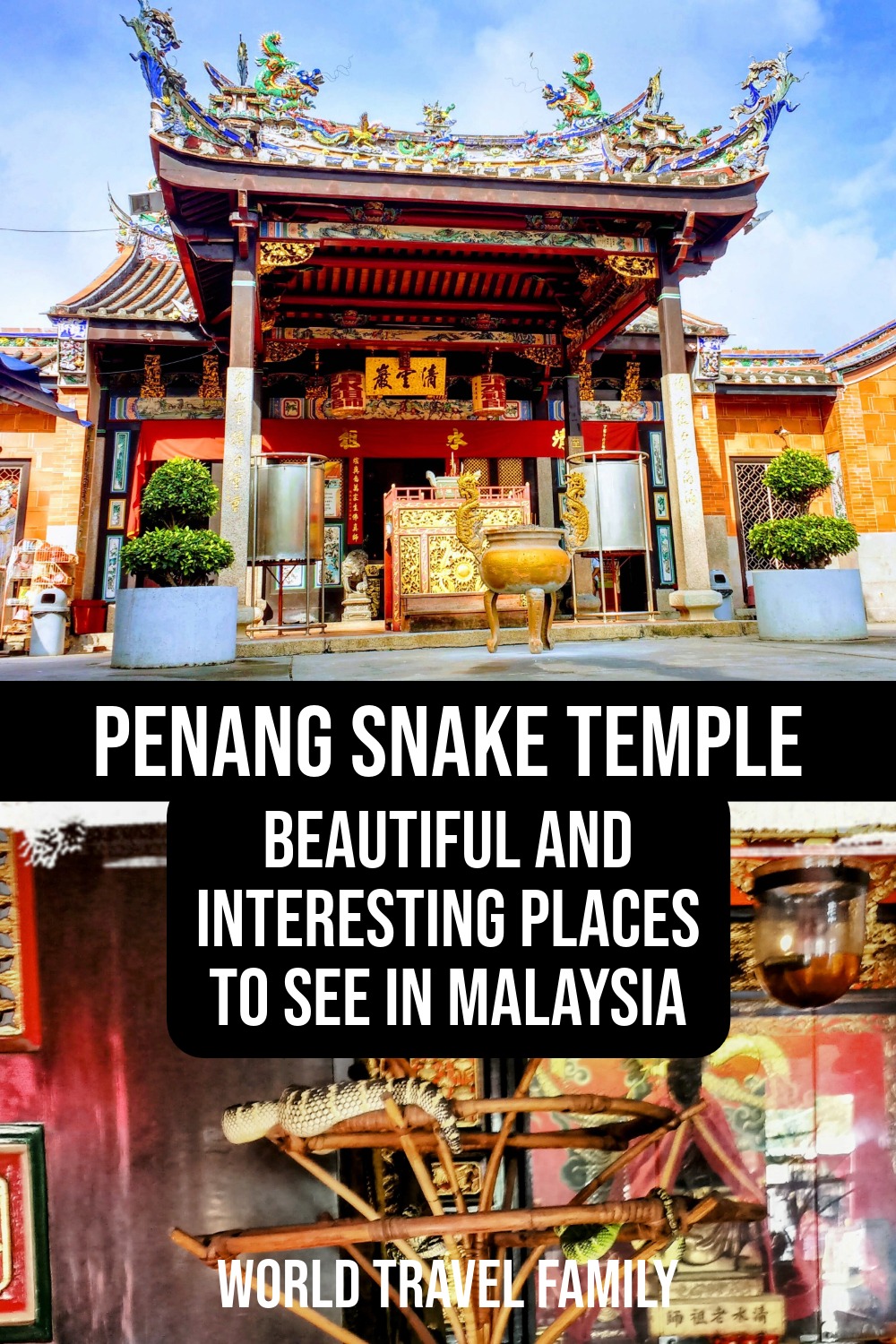 Snake Temple - Penang, Malaysia
