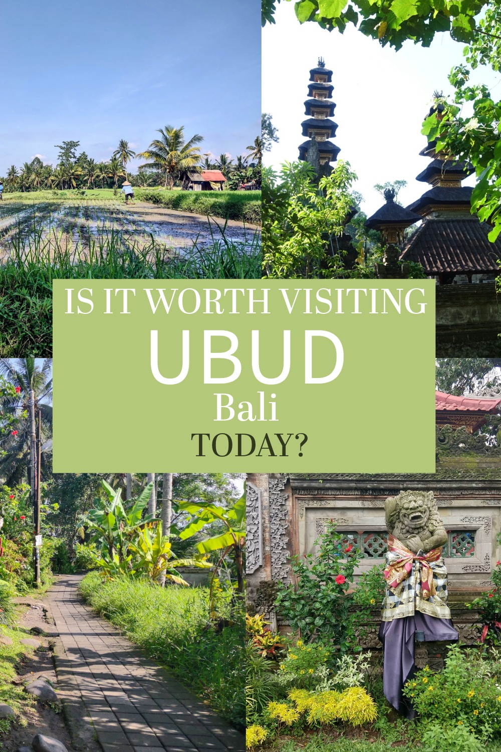 Should You Visit Ubud, Bali?