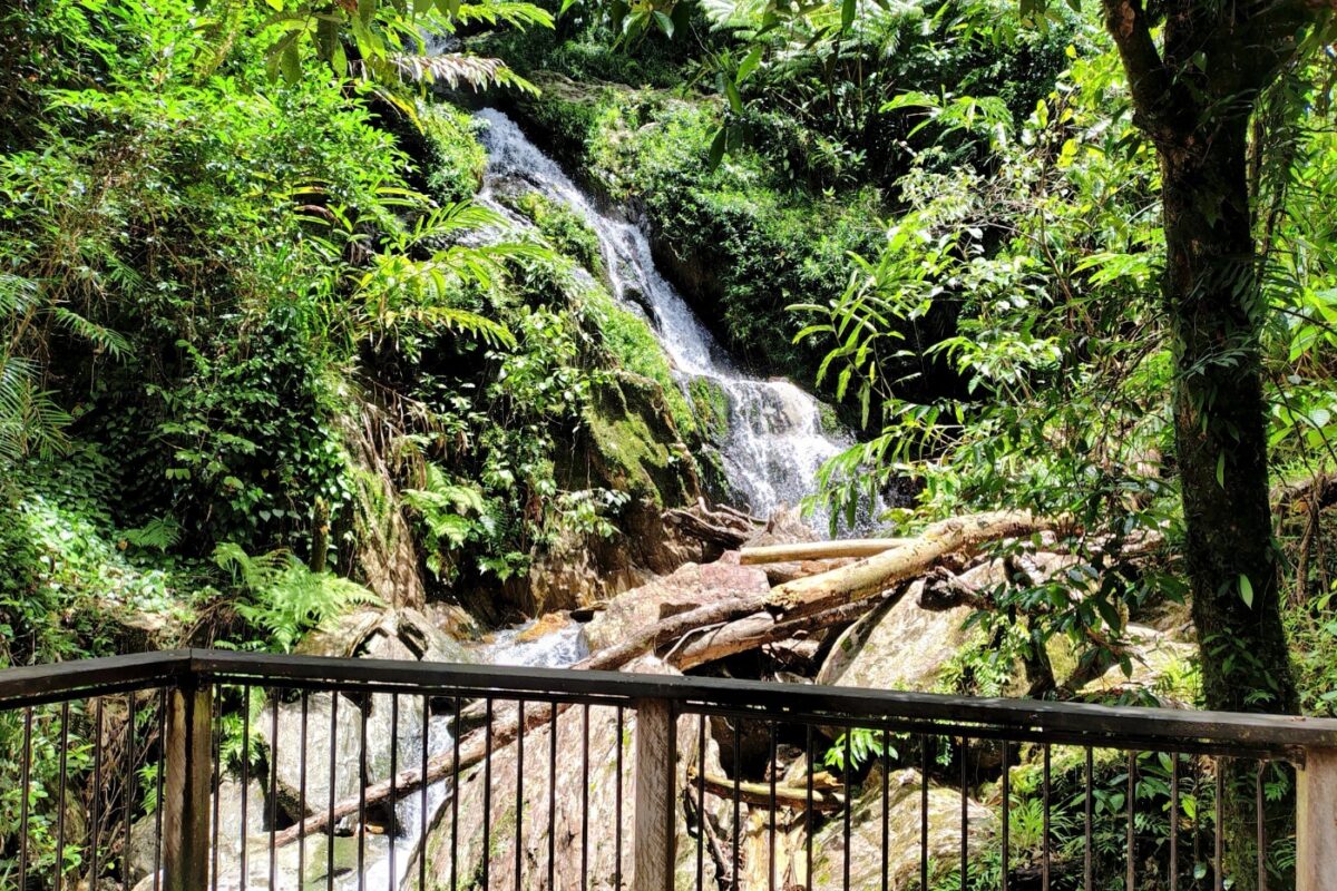 Waterfall near Daintree Village