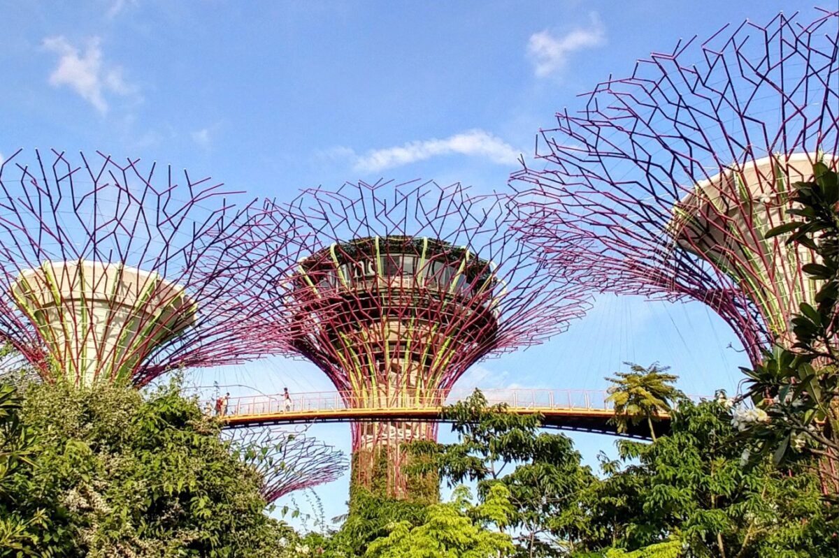 Singapore Tour
