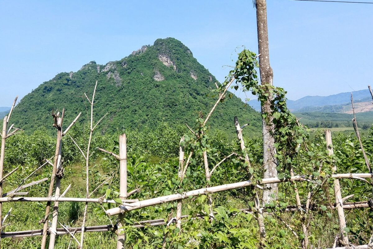 The Rock Pile Vietnam