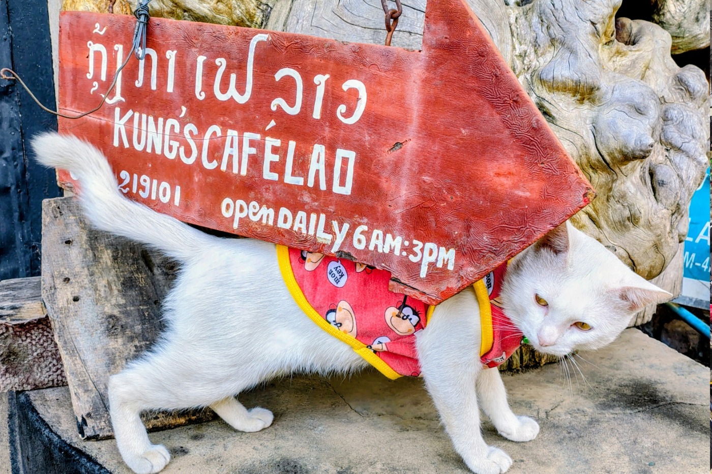 Kungs cafe laos restaurant location sign
