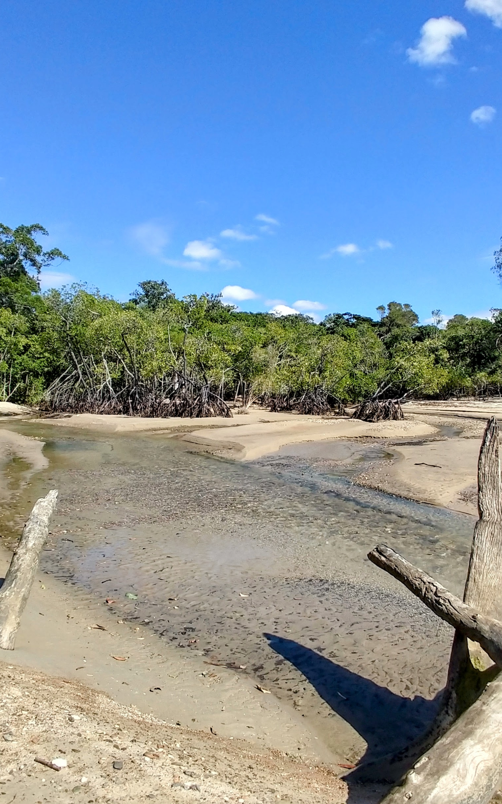 Daintree National Park Entry Fee
