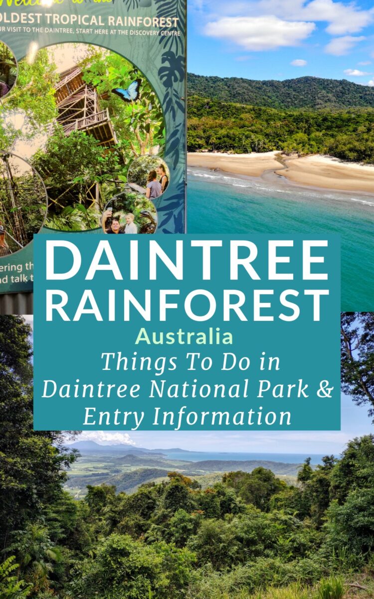 Daintree Rainforest forest photos, beach, attractions
